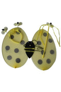Kadın Sarı Arı Kanadı Arı Kanat Seti